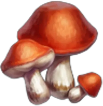  Knights And Brides Wiki Agaric Png Mushrooms Png