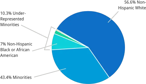  Csr Data U0026 Evaluations Nih Center For Scientific Review Dot Png Under Review Icon