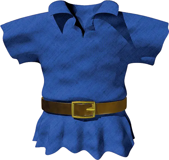  Zora Tunic Zelda Dungeon Wiki Ocarina Of Time Zora Tunic Png Zelda Rupee Icon