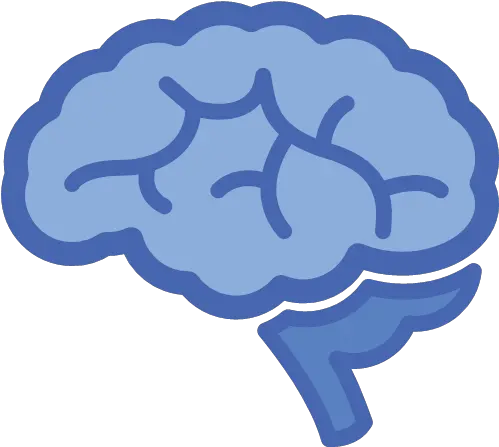  Brain Icon Álvaro Obregon Garden Png Brain Icon Png