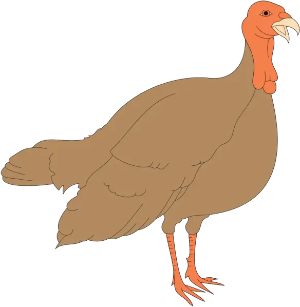  4570book Cold Turkey Clipart Png In Pack 4464 Turkey Hen Clipart Turkey Clipart Png