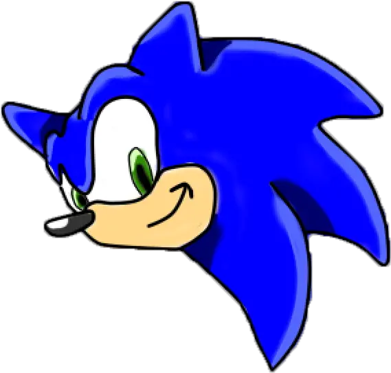  Sonic Head Png Clipart Cabeza De Sonic Png Sonic Head Png