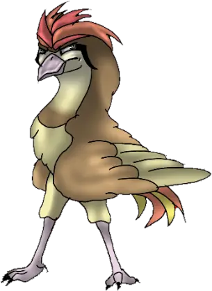  Hawk Kingdom Of Pokemon Wiki Fandom Rooster Png Hawk Png