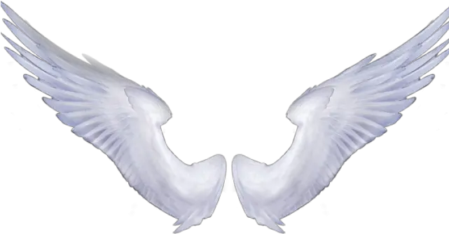  Download Angel Wings Transparent Full Size Png Image Pngkit Transparent Png Angel Wings Angel Halo Transparent Background