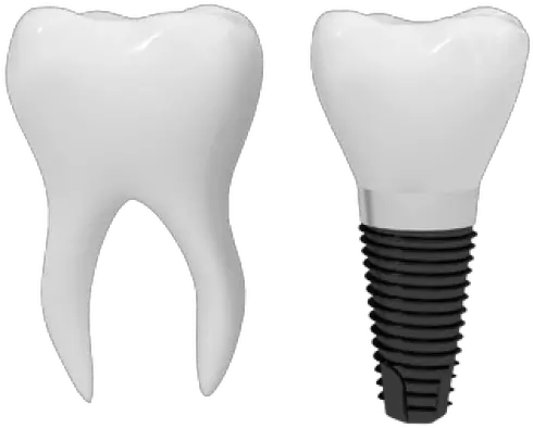  Teeth Png Free Download 8 Images Transparent Single Teeth Png Teeth Png