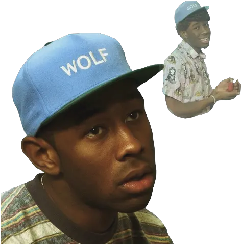  Wolf Album Cover Hd Transparent Png Album Cover Wolf Tyler Tyler The Creator Png