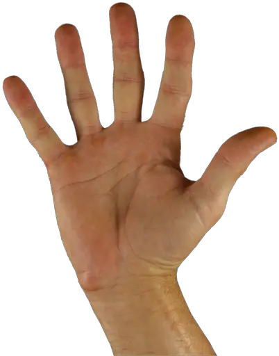  Five Thingsopenpalm Thomas Coon Newton U0026 Frost Hola Mano Png Open Hand Png