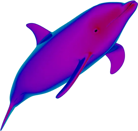  Dolphin Gif No Background Png Vaporwave Transparent