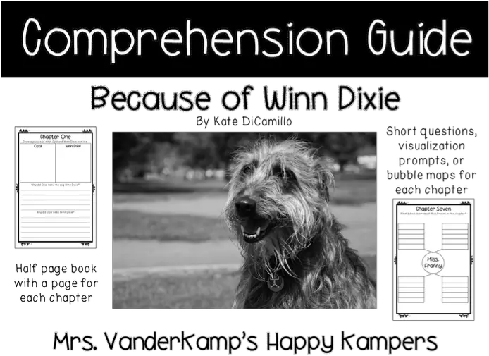  Because Of Winn Dixie By Kate Dicamillo Comprehension Guide Journeys Because Of Winn Dixie Tri Fold Png Winn Dixie Logo