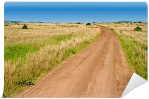  Dirt Road Wall Mural Pixers We Cuenca Alta Manzanares Regional Park Png Dirt Road Png