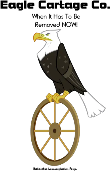  573720 Artist Needed Bald Eagle Eagle Safe Simple Mlp Eagle Png Eagle Transparent