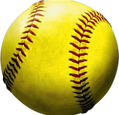  San Diego Unified School District U2013 Online Home For The Transparent Softball Png Weider Pro 2990 Icon Multi Gym