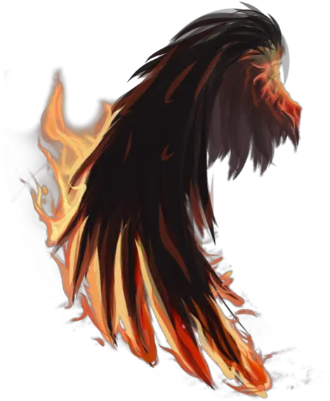  Fire Wings Firewings Tumblr Sticker Fire Wings Transparent Png Fire Wings Png