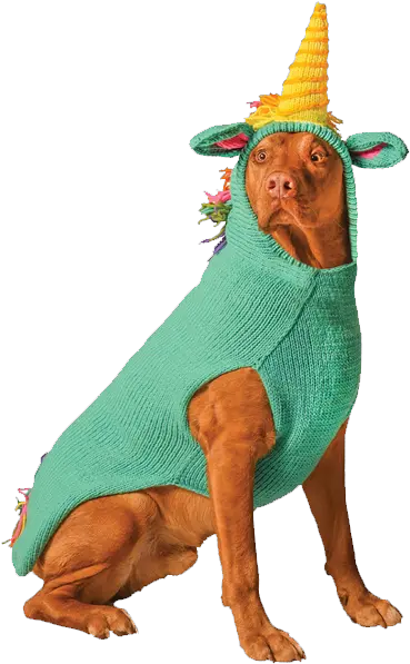  Chilly Dog Sweaters Handknit Pet Products Halloween Costumes For Big Dogs Png Pink Dog Logo