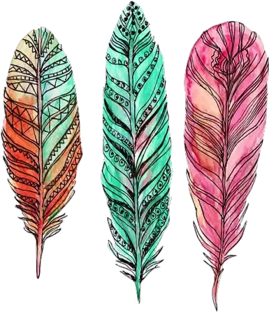  Colourful Feather Drawing Png