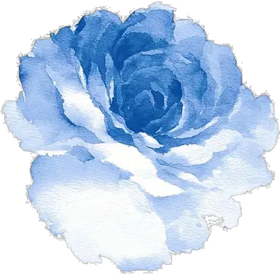  21 Blue Rose Clipart Tumblr Cartoon Free Clip Art Stock Png