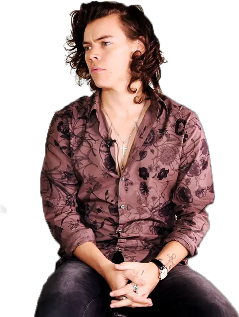  Harry Styles Png Tumblr 1 Image Harry Styles Png Harry Styles Png