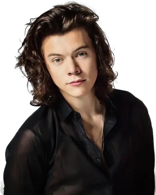  Harry Styles Png Photo Harry Styles Back Pack Harry Styles Png