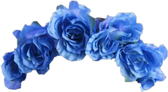  Blue Flower Crown Lightblue Ocean Aesthetic Roses Flowe Aesthetic Flower Crown Png Flower Crown Png