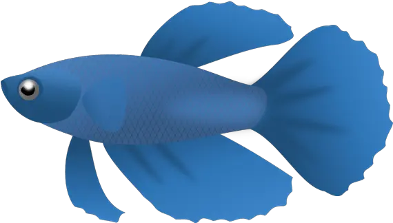  Download Blue Fish Png Clipart