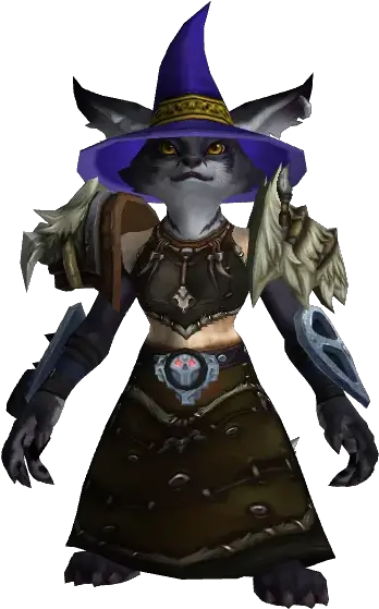  I Put Outfit World Of Warcraft Demon Png Wizard Hat Transparent