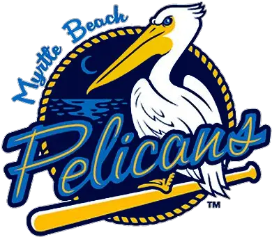  Myrtle Beach Pelicans Logo Png South Carolina Sports Teams Pelicans Logo Png