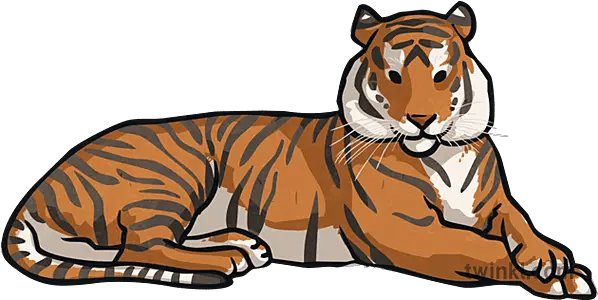  Tiger Animals Chinese New Year Zodiac Assembly Topics Ks2 Bengal Tiger Png App Icon Chinese New Year