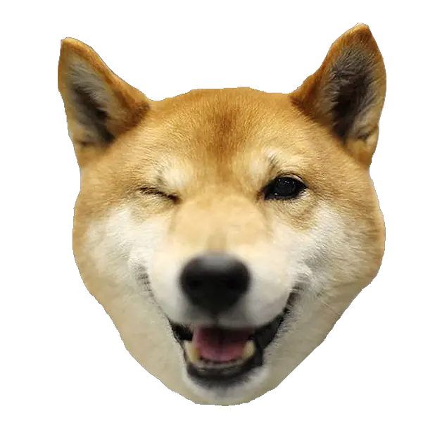  Dog S By Seng Hoong Lim Dogs Shiba Inu Head Png Shiba Inu Png