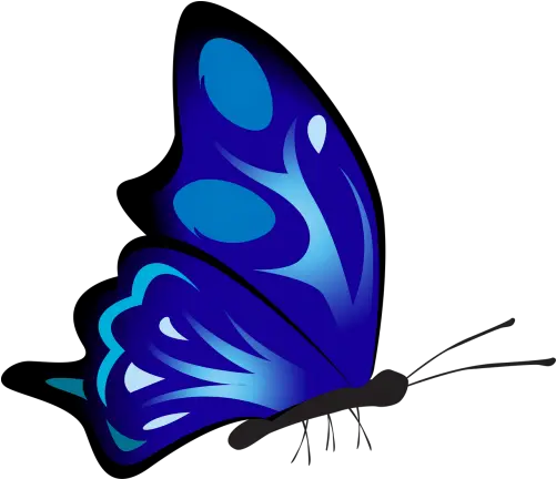  Free Photos Butterfly Png Search Download Needpixcom Side Butterfly Drawing Coloured Purple Butterfly Png