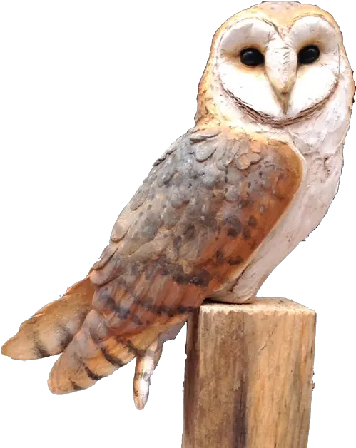  Owl Png Free Image Barn Owl Ceramic Sculpture Barn Owl Png