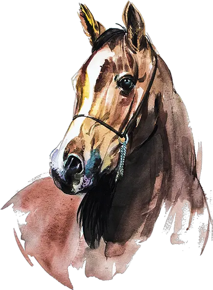  Pngsector Watercolor Horse Clipart Png Horse Clipart Png