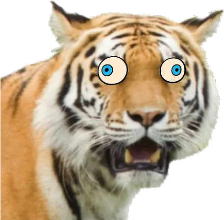  Giant Realistic Flying Tiger Uncle Grandpa Wiki Fandom Funny Face Funny Tiger Png Tiger Face Png