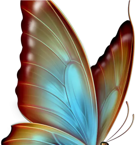  Rainbow Butterfly Clipart White Background Butterfly Butterflies Png Images Download Rainbow Clipart Transparent Background