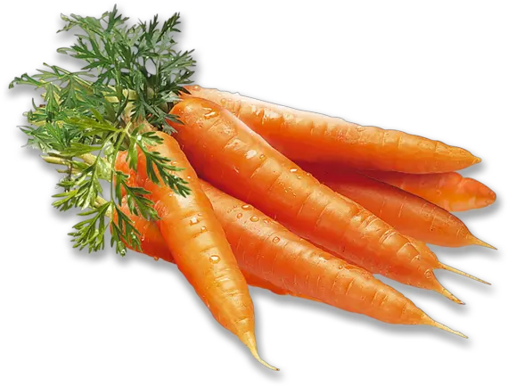  Carrot Png Images Carrots Clipart Free Download Free Gulrøtter Gulrot Carrot Transparent Background