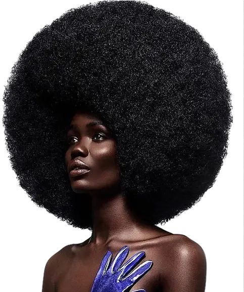  Njnhe Mysite 4 Girls With Natural Hair Png Afro Png