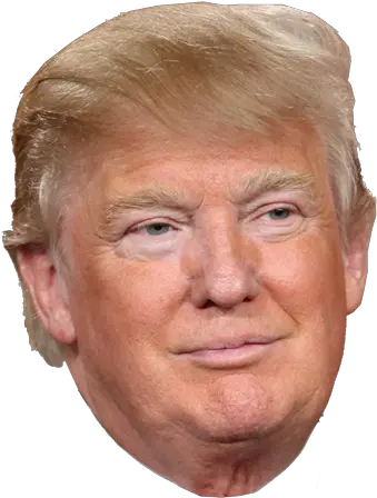  Donald Trump Would Look Like Without Albino With Spray Tan Png Trump Head Transparent