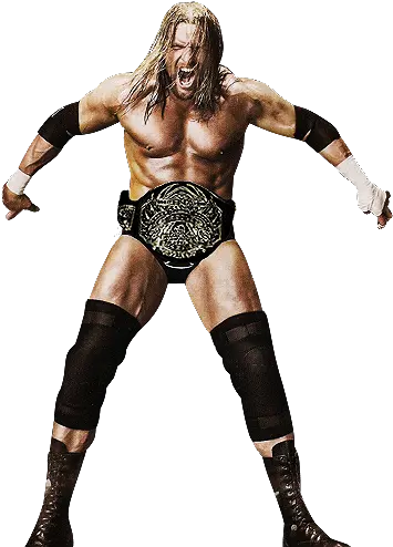  Triple H Tna World Heavyweight Champion Wwf Triple H Png Triple H Png