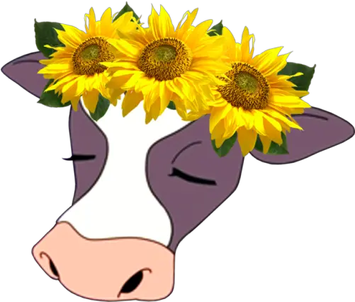  Cattle Computer Icons Tumblr Clip Art Flower Crown Png Yellow Tumblr Background Computer Flower Crown Transparent