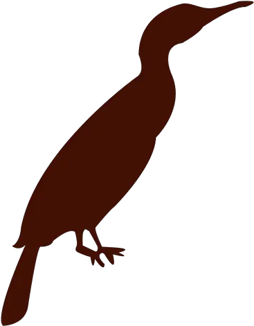  Zoo Bird Silhouette Transparent Png U0026 Svg Vector File Penguin Birds Transparent Background