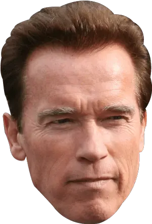  Png Arnold Schwarzenegger Face Arnold Schwarzenegger Face Png Arnold Schwarzenegger Transparent