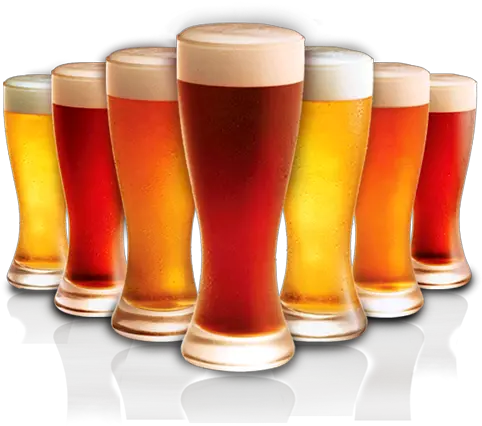  Download Free Png Beer Images Pictures Beer Bottles Transparent Background Beer Mug Png