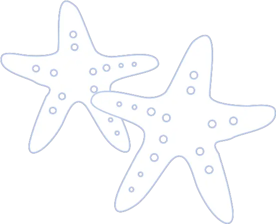  Ecommerce Web Design Company Salisbury Turtle Reality Dot Png Starfish Small Icon