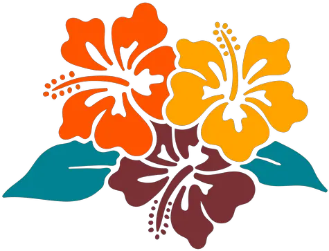  Hibiscus Flowers Tropical Hand Drawn Design Transparent Decorative Png Tropical Flowers Png