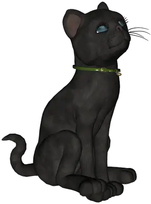  Black Cat 3 Episode Life Cat Yawns Png Black Cat Png