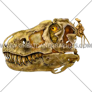  T Rex Skull Production Ready Artwork For Tshirt Printing Python Png Dinosaur Skull Png