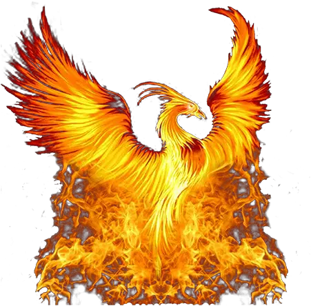  The Golden Phoenix Chess Club Chesscom Transparent Phoenix Bird Png Phoenix Png
