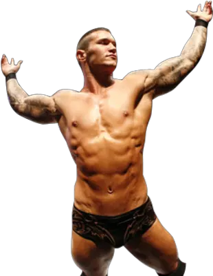  Randy Orton Rko Clip Art Png Image Smackdown Vs Raw 2011 Randy Orton Png