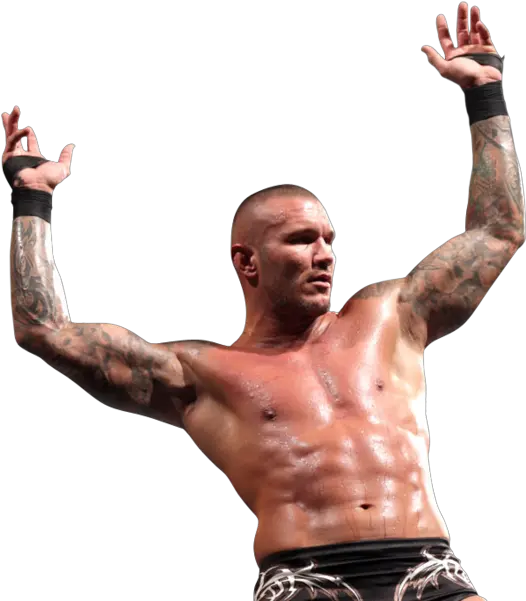  Randy Orton Randy Orton Rko Png Randy Orton Png