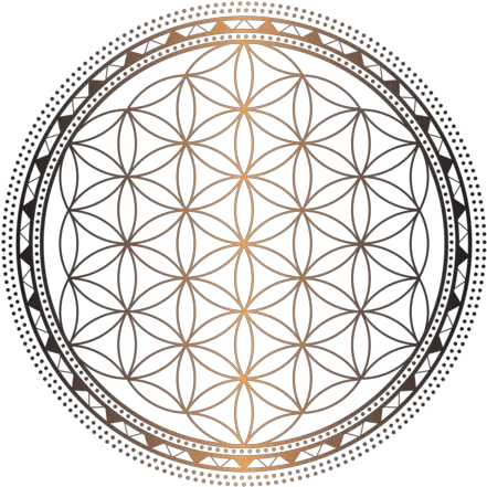  Flower Of Life Coloring Pages Png Eco Friendly Logo Png Flower Of Life Png