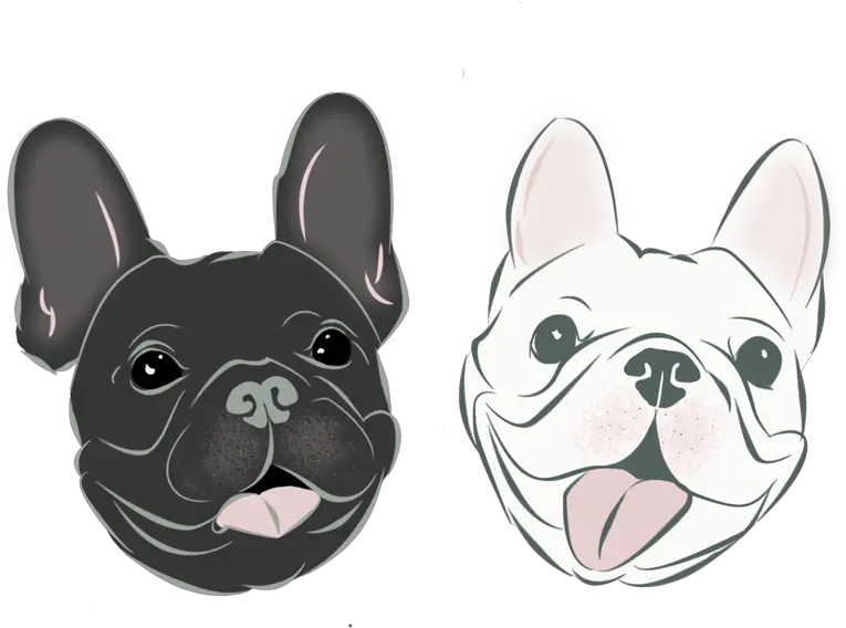  Download Hd You Won Prize French Bulldog Transparent Png French Bulldog Cartoon Png French Bulldog Png